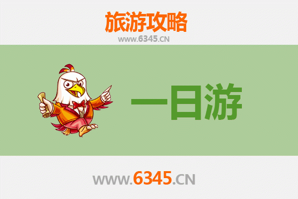 呼伦贝尔根河自驾一日游攻略：探秘北境森林与驯鹿之乡