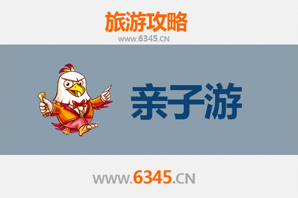 呼伦贝尔根河亲子游攻略：探秘北国森林与驯鹿部落的奇妙之旅