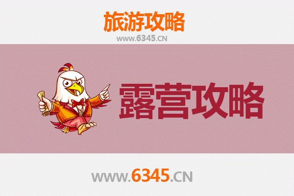 呼伦贝尔根河周边露营胜地全攻略：探秘森林与湿地的野趣天堂